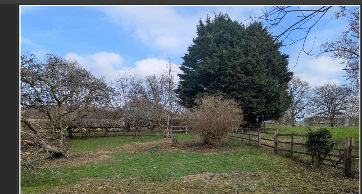 Grounds and orchard paddock in winter