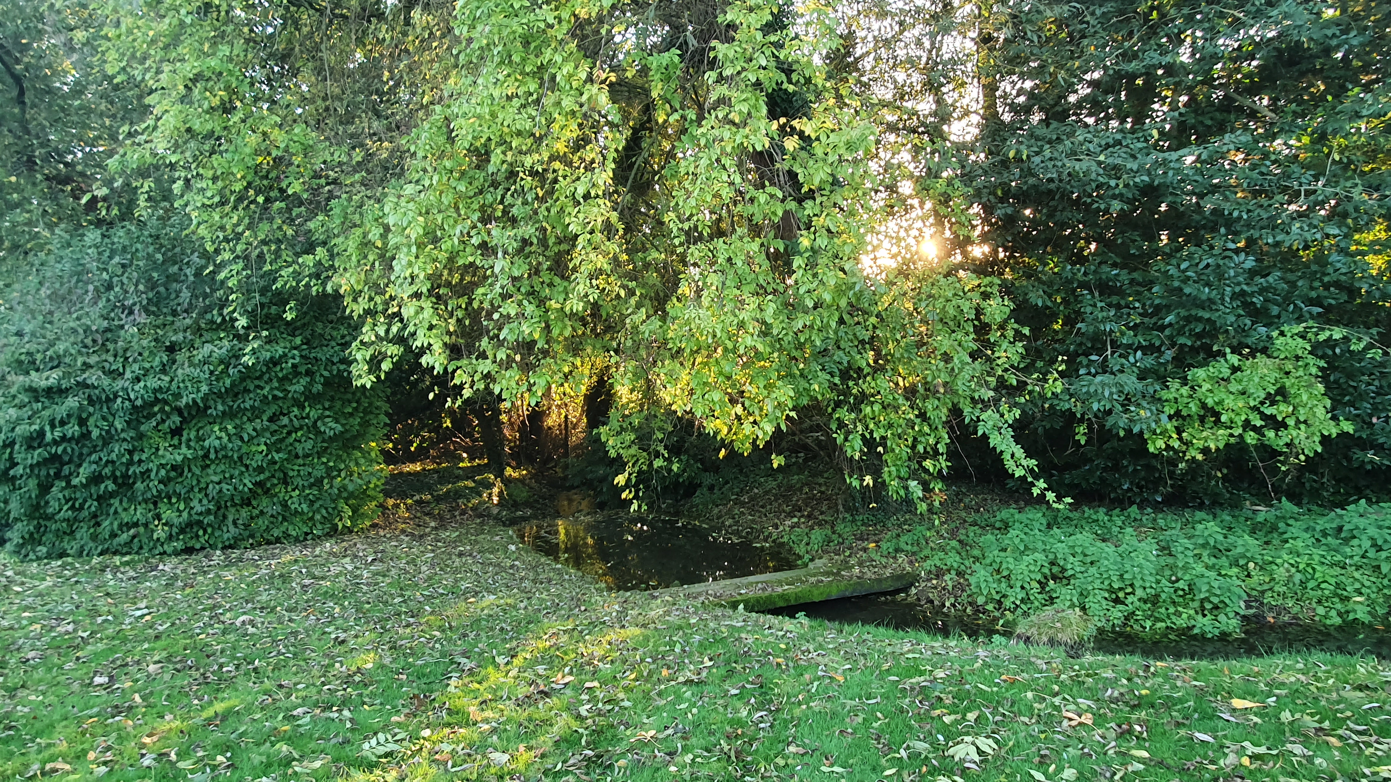 Autumn light over the pond and grounds, environmental stewardship focus of Old Manor Farm